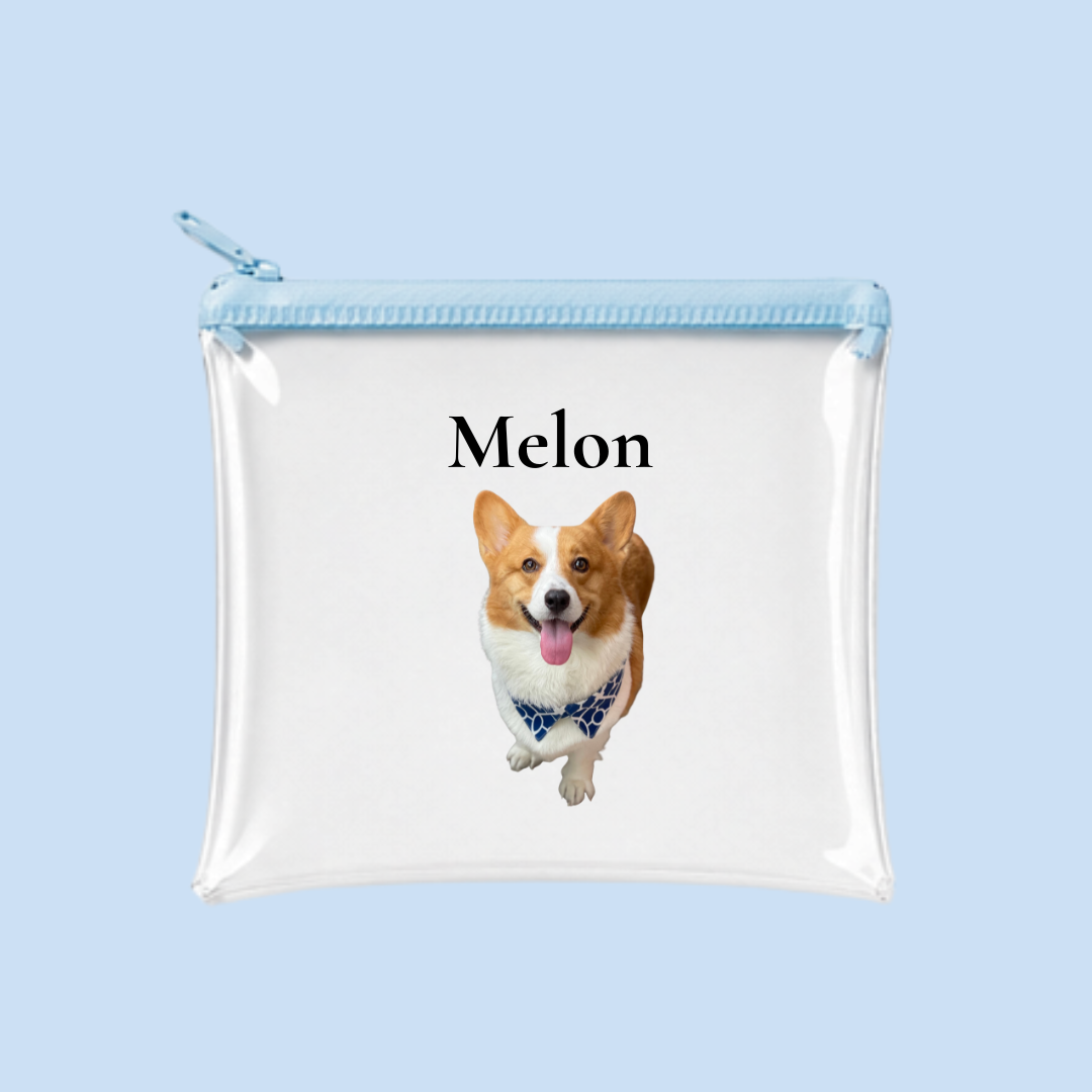 Bag & Pouch