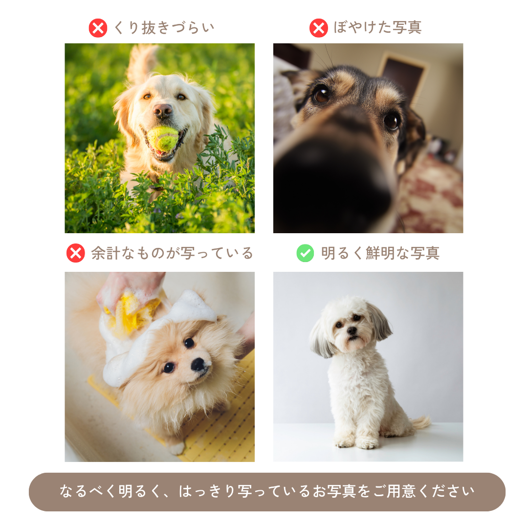 【写真】ウチのコ クッション｜写真から作る オーダーメイド ペットクッション