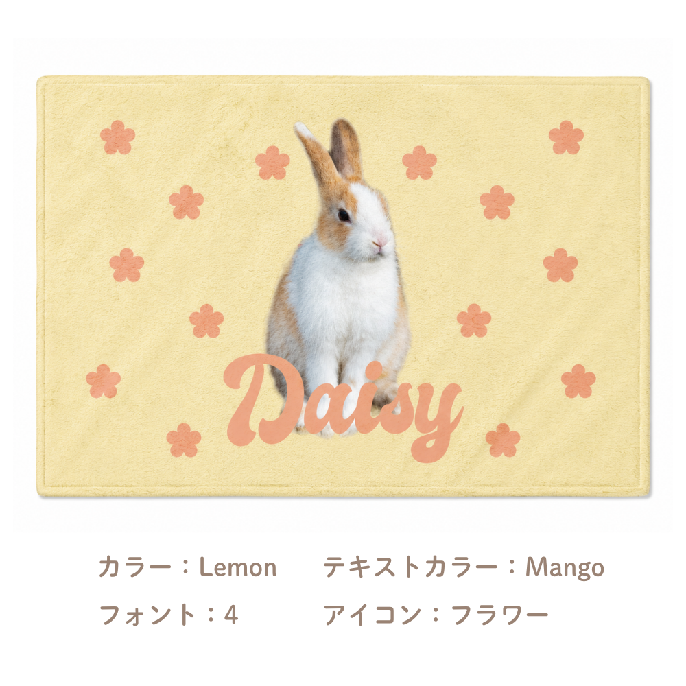 【写真＋名入れ】ふわふわブランケット｜うちの子 全面プリント・オーダーメイド