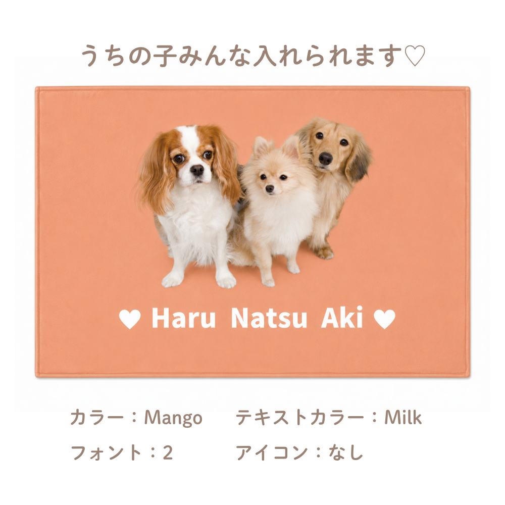 【写真＋名入れ】ふわふわブランケット｜うちの子 全面プリント・オーダーメイド