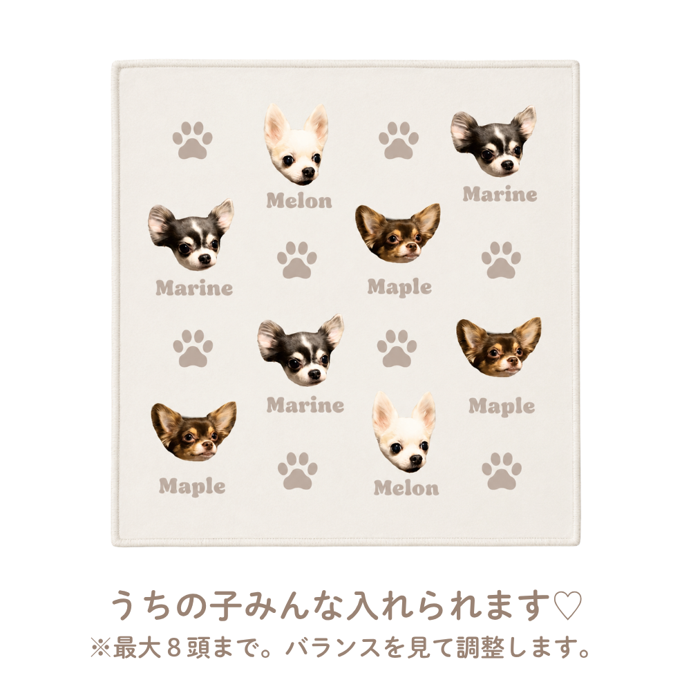 【写真＋名入れ】ハンドタオル｜ウチのコ 全面プリント・オーダーメイド